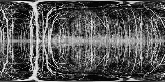 sonorities-01-horizontal